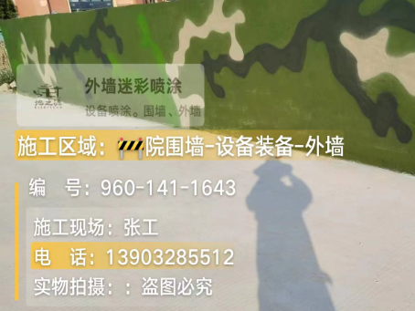 金山 迷彩漆喷涂价格（按平方米计费）
